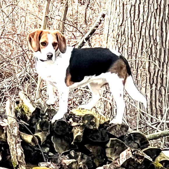 Meet your Posher, Kris - Picture 2 of 10